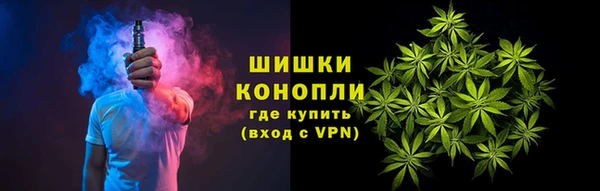 mix Богородицк