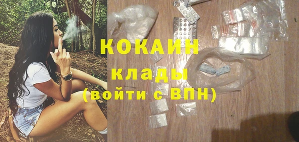 mix Богородицк