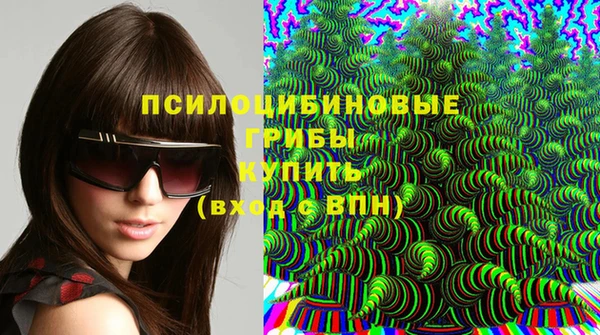 мдма Богданович
