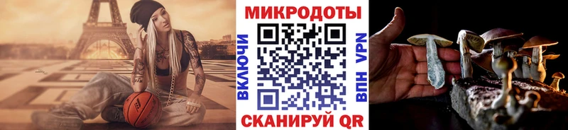 Галлюциногенные грибы мухоморы  где купить наркоту  Курильск 